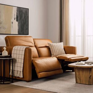 Sectional Leather sofa options and features