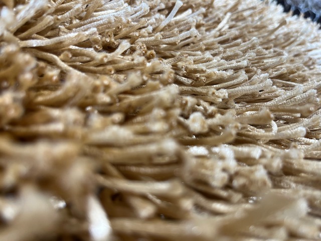 Shaggy Rug - 60'' x 36'' Polyester Beige - Image 6