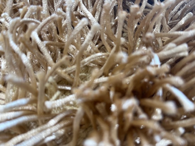 Shaggy Rug - 60'' x 36'' Polyester Beige - Image 5