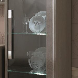 Platinum 1-Door Display Cabinet – Silver Birch