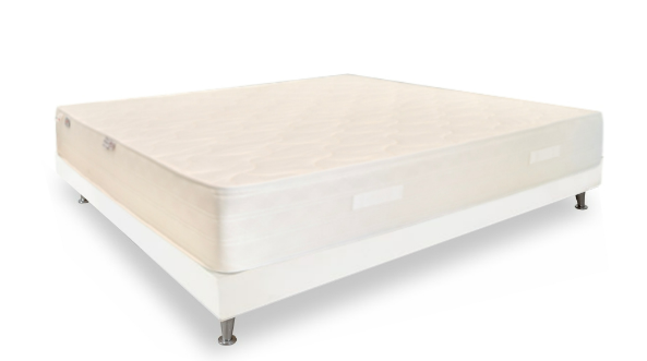 Duemme - Riviera - Image 2